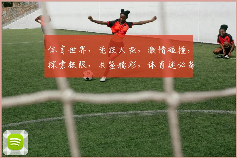 体育世界，竞技火花，激情碰撞，探索极限，共鉴精彩，体育迷必备手册