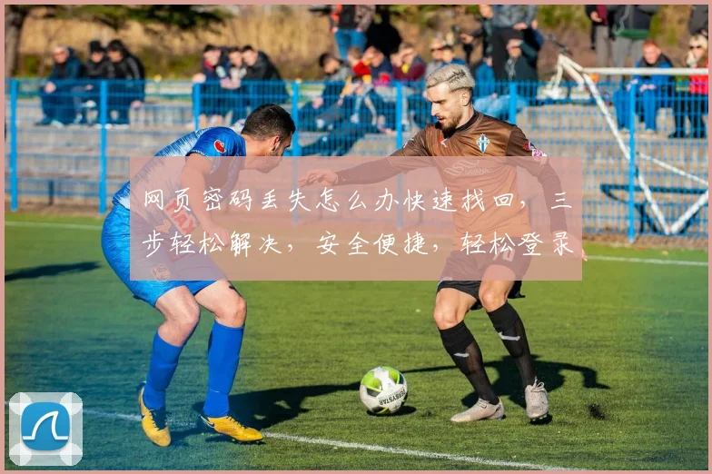 网页密码丢失怎么办快速找回，三步轻松解决，安全便捷，轻松登录