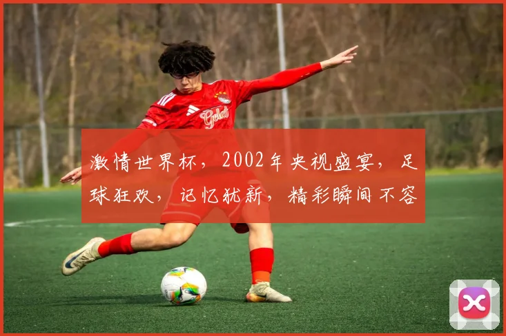 激情世界杯，2002年央视盛宴，足球狂欢，记忆犹新，精彩瞬间不容错过，共赏
