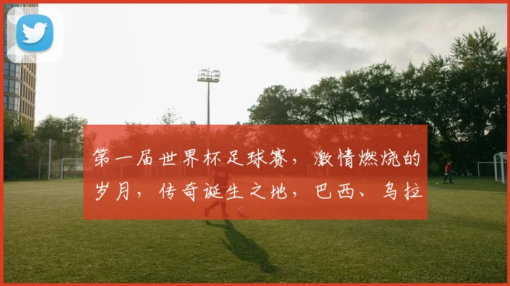 第一届世界杯足球赛，激情燃烧的岁月，传奇诞生之地，巴西、乌拉圭，谁主沉浮